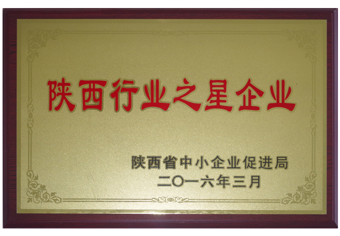 陝西(xī)行(xíng)業(yè)之星企業(yè)